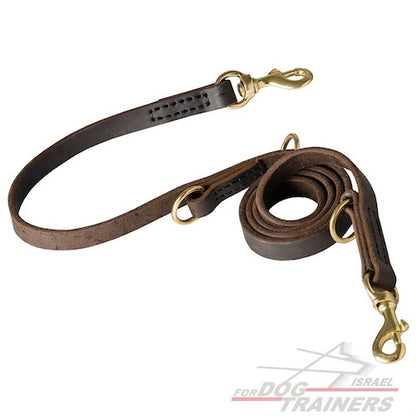 רצועת עור לכלב רב תכליתית בעיצוב משטרתי - FOR DOG TRAINERS- ISRAEL