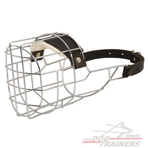 זמם לכלב עשוי מתכת רחב מרושת רב תכליתי ופרקטי - FOR DOG TRAINERS- ISRAEL