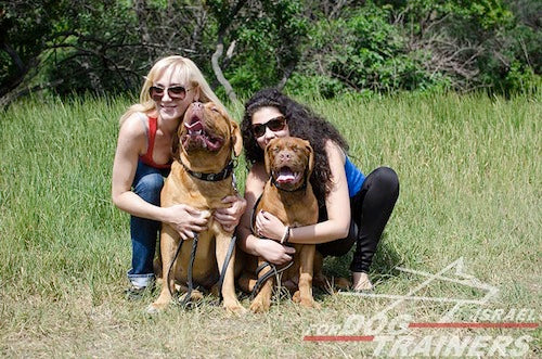 קולר לכלב מעור - בעיצוב אופנתי בלעדי - FOR DOG TRAINERS- ISRAEL