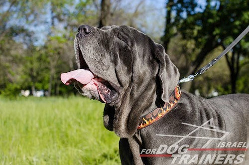 קולר לכלב מעור בצביעה ידנית - "להבות" - FOR DOG TRAINERS- ISRAEL