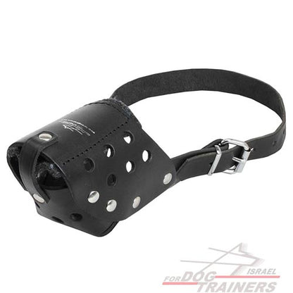 זמם לכלב מעור קל לתפעול לטיולים לגזעי כלבים בינוניים - FOR DOG TRAINERS- ISRAEL