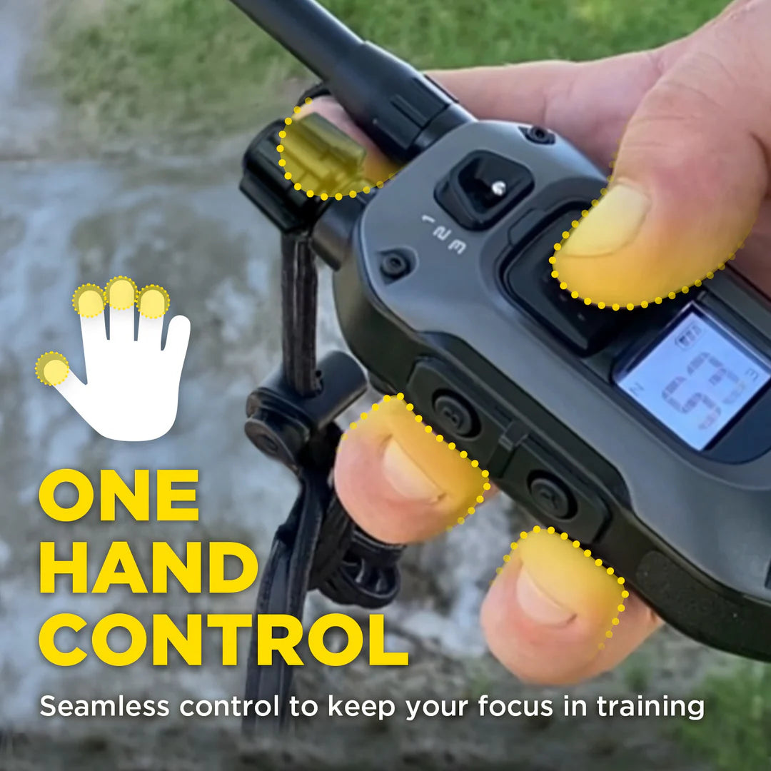 חדש! דוגטרה קולר אלקטרוני- קולר אילוף חשמלי Dogtra 640X (280X) - FOR DOG TRAINERS- ISRAEL