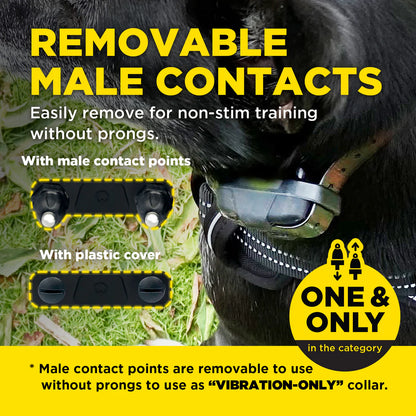 חדש! דוגטרה קולר אלקטרוני- קולר אילוף חשמלי Dogtra 640X (280X) - FOR DOG TRAINERS- ISRAEL