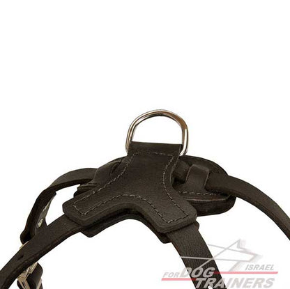 רתמה לכלבים עם ניטים מתכווננת מעור לטיולים אופנתיים עם הכלב ולאימונים - FOR DOG TRAINERS- ISRAEL