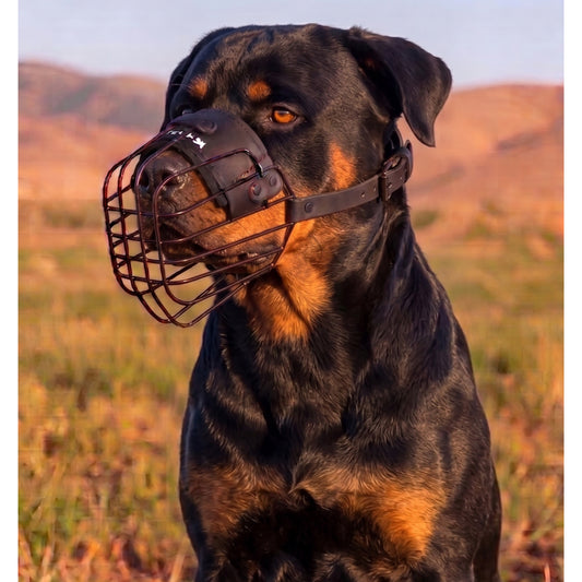 מחסום פה מינימליסטי וקל משקל לרוטווילר