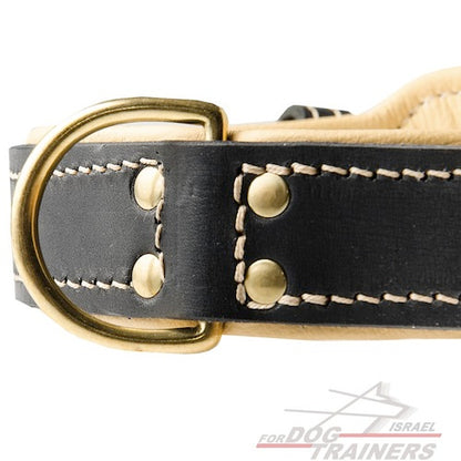 קולר לכלב מעור עם בטנה מנאפה - בסגנון מלכותי - FOR DOG TRAINERS- ISRAEL