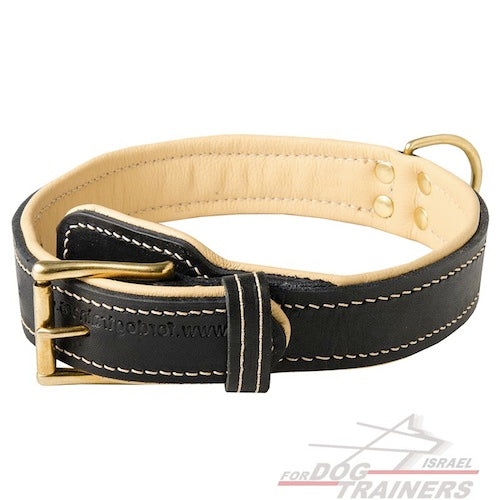 קולר לכלב מעור עם בטנה מנאפה - בסגנון מלכותי - FOR DOG TRAINERS- ISRAEL