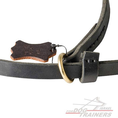 רצועת סליפ ליש לכלב רצועת חנק מעור ללא צורך בקולר – מתאימה לכל כלב - FOR DOG TRAINERS- ISRAEL