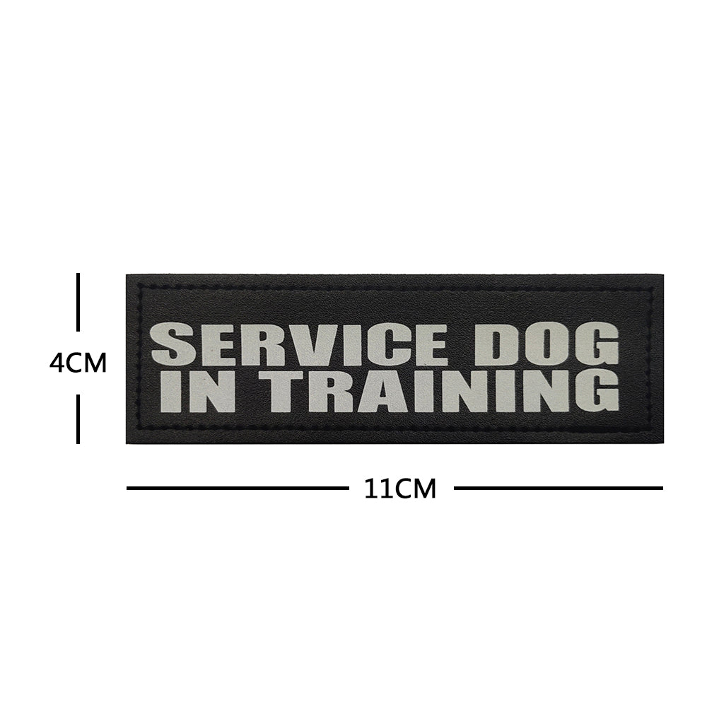 פאץ' SERVICE DOG IN TRAINING 11x4 ס"מ עם סקוץ' - FOR DOG TRAINERS ישראל