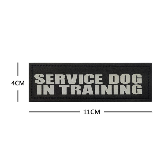 פאץ' SERVICE DOG IN TRAINING 11x4 ס"מ עם סקוץ' - FOR DOG TRAINERS ישראל