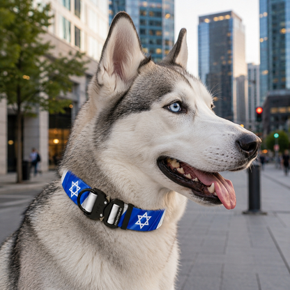 קולר מקצועי 40 מ"מ עם הדפס דגל ישראל להאסקי סיבירי - עמיד למים