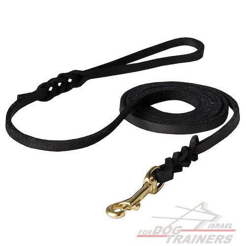 חדש! רצועת אחיזה באיכות גבוהה לכלב לתערוכות ולטיולים - FOR DOG TRAINERS- ISRAEL