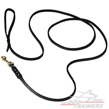 חדש! רצועת אחיזה באיכות גבוהה לכלב לתערוכות ולטיולים - FOR DOG TRAINERS- ISRAEL