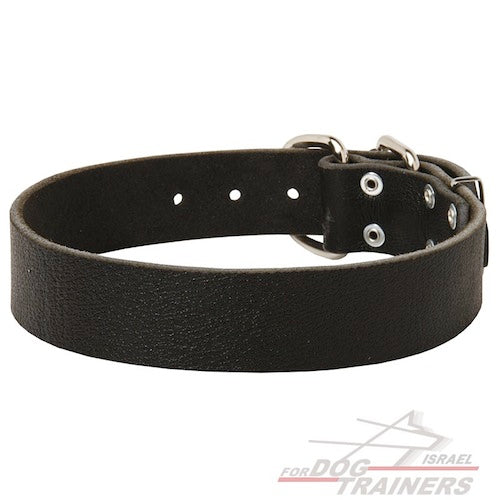 קולר לכלב מעור רך לשימוש יומיומי ברוחב 4 ס"מ - FOR DOG TRAINERS- ISRAEL