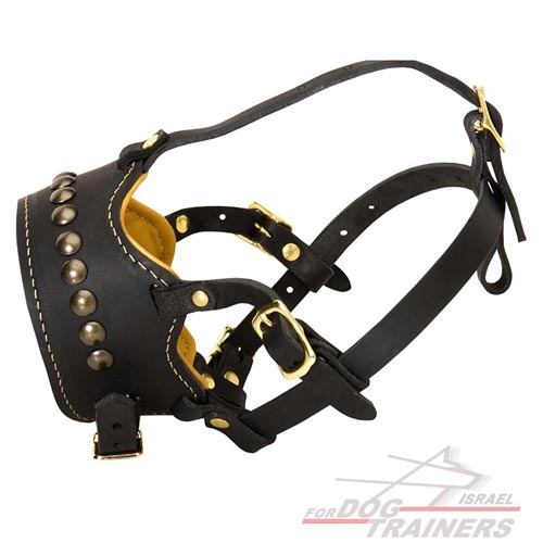 זמם לכלב מרופד עם ניטים מפליז - FOR DOG TRAINERS- ISRAEL