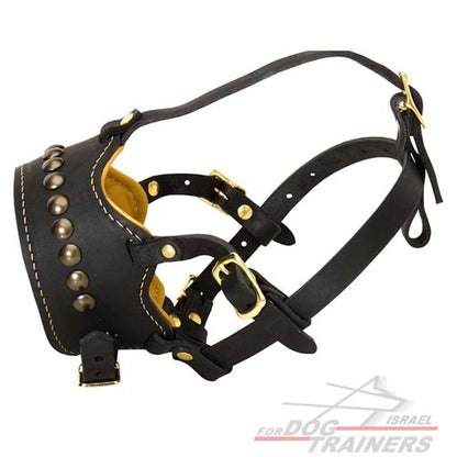 זמם לכלב מרופד עם ניטים מפליז - FOR DOG TRAINERS- ISRAEL