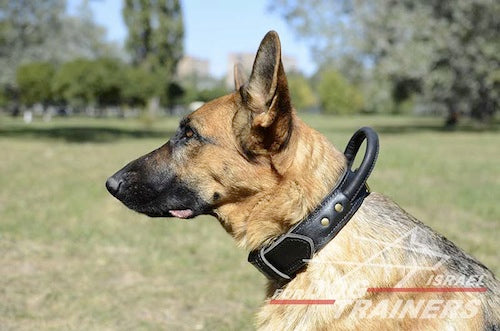 קולר לכלב מעור דו-שכבתי עם ידית אחיזה נוחה - FOR DOG TRAINERS- ISRAEL