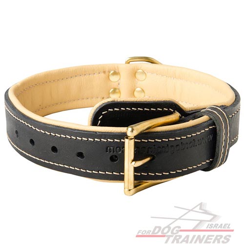 קולר לכלב מעור עם בטנה מנאפה - בסגנון מלכותי - FOR DOG TRAINERS- ISRAEL