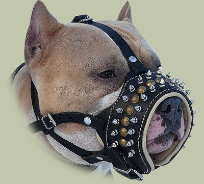 מחסום פה לכלב מעור עם ניטים וריפוד נאפה - FOR DOG TRAINERS- ISRAEL
