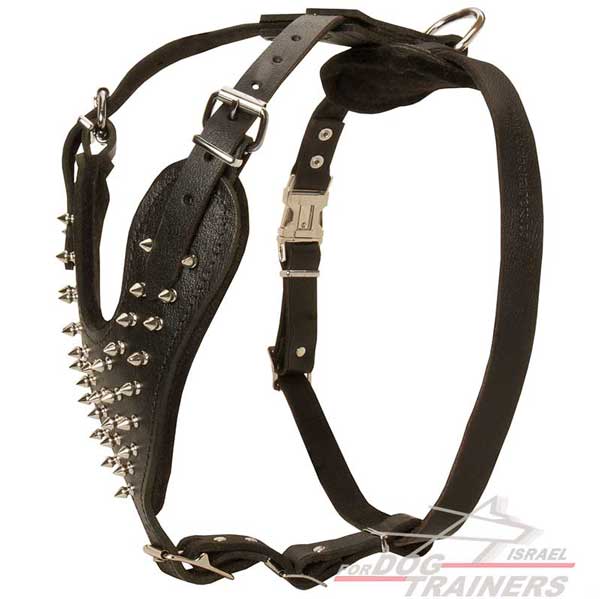 רתמה לכלבים עם ניטים מתכווננת מעור לטיולים אופנתיים עם הכלב ולאימונים - FOR DOG TRAINERS- ISRAEL