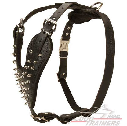 רתמה לכלבים עם ניטים מתכווננת מעור לטיולים אופנתיים עם הכלב ולאימונים - FOR DOG TRAINERS- ISRAEL