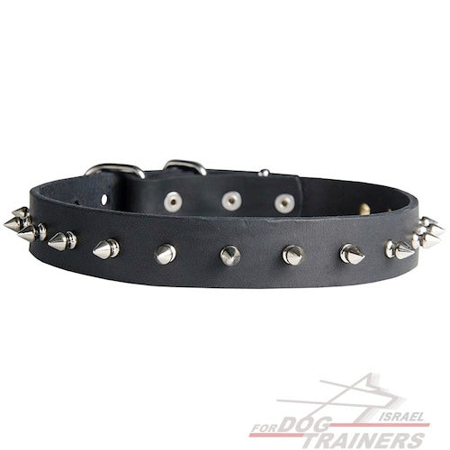 קולר לכלב מעור עם קישוט קוצני - FOR DOG TRAINERS- ISRAEL