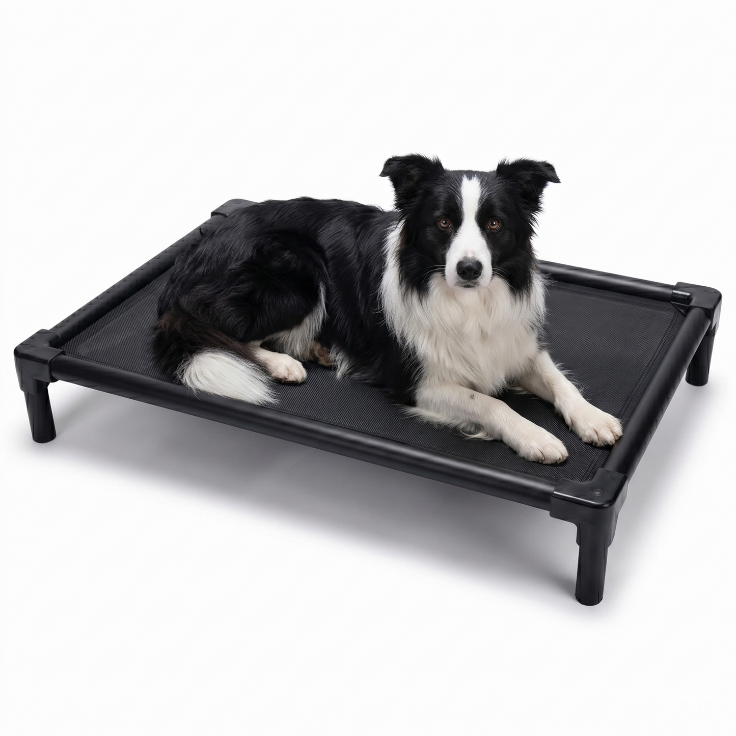 מיטת כלבים אלומיניום שחור בינוני 90 ס"מ - FOR DOG TRAINERS ישראל