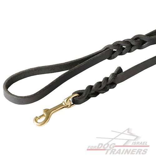 רצועת עור לכלב מקושטת להליכות ולגישושים - FOR DOG TRAINERS- ISRAEL