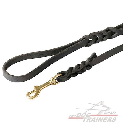 רצועת עור לכלב מקושטת להליכות ולגישושים - FOR DOG TRAINERS- ISRAEL