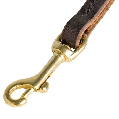 רצועה לכלב עם לולאת משיכה לאחיזה קלה והמהירה - FOR DOG TRAINERS- ISRAEL