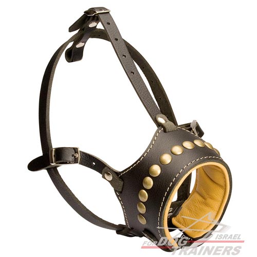 זמם לכלב מרופד עם ניטים מפליז - FOR DOG TRAINERS- ISRAEL