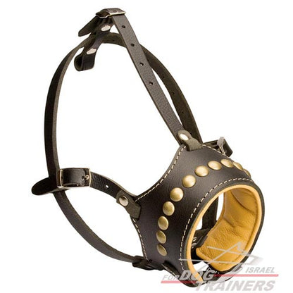 זמם לכלב מרופד עם ניטים מפליז - FOR DOG TRAINERS- ISRAEL