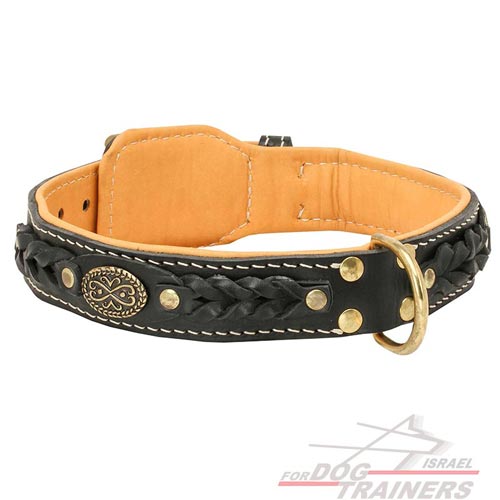 קולר לכלב מעור בסגנון מלכותי אקסקלוסיבי - FOR DOG TRAINERS- ISRAEL