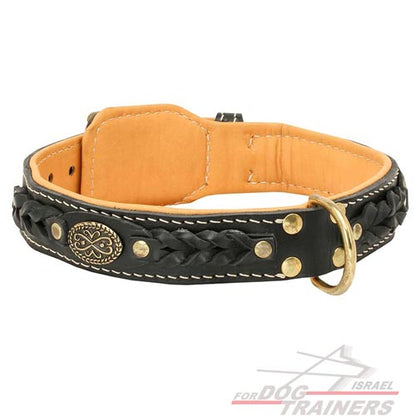 קולר לכלב מעור בסגנון מלכותי אקסקלוסיבי - FOR DOG TRAINERS- ISRAEL