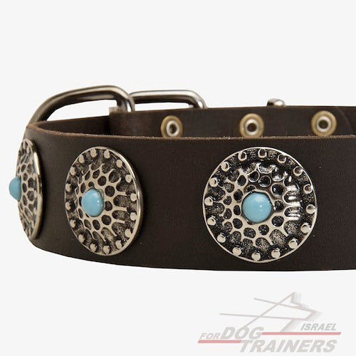 קולר לכלב מעור - בעיצוב אופנתי בלעדי - FOR DOG TRAINERS- ISRAEL