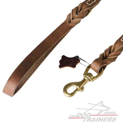 רצועת עור לכלב מקצועית, משודרגת והאולטימטיבית - FOR DOG TRAINERS- ISRAEL