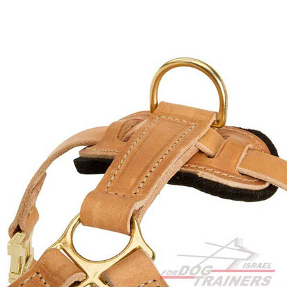 רתמת עור לכלב | לעבודות גישוש ולטיולים - FOR DOG TRAINERS- ISRAEL