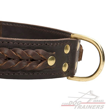 קולר עור רחב במיוחד לכלבים בינוניים-גדולים - FOR DOG TRAINERS- ISRAEL