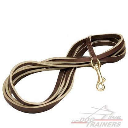 רצועת עור לכלב הטובה ביותר לגישוש - FOR DOG TRAINERS- ISRAEL