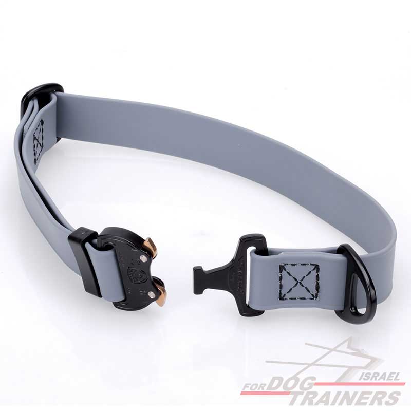 קולר מתכונן לכלב מביאוטן- בצבע אפור+ נעילת קוברה מקורית - FOR DOG TRAINERS- ISRAEL