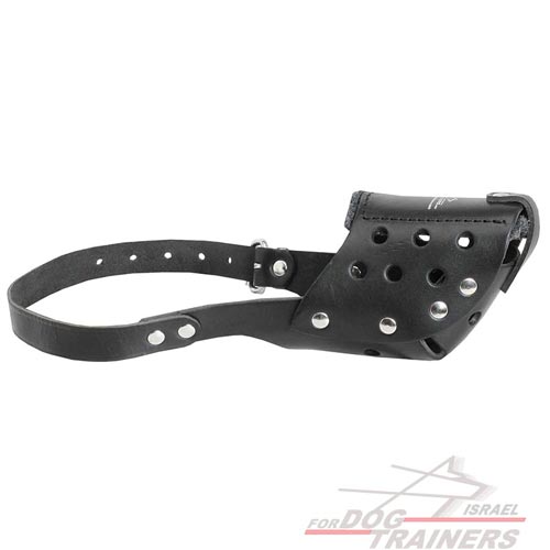 זמם לכלב מעור קל לתפעול לטיולים לגזעי כלבים בינוניים - FOR DOG TRAINERS- ISRAEL