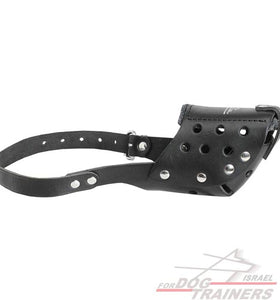 זמם לכלב מעור קל לתפעול לטיולים לגזעי כלבים בינוניים - FOR DOG TRAINERS- ISRAEL