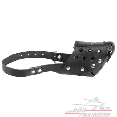 זמם לכלב מעור קל לתפעול לטיולים לגזעי כלבים בינוניים - FOR DOG TRAINERS- ISRAEL