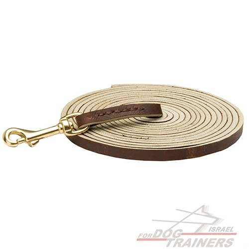 רצועת עור לכלב הטובה ביותר לגישוש - FOR DOG TRAINERS- ISRAEL