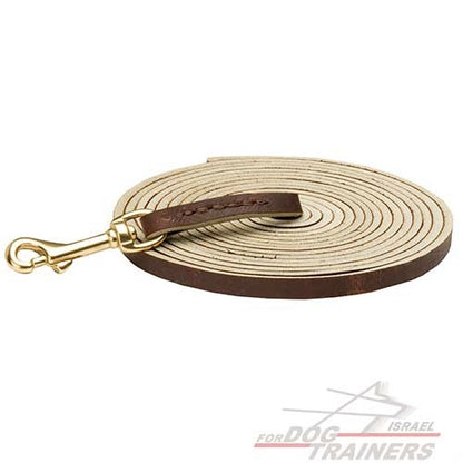 רצועת עור לכלב הטובה ביותר לגישוש - FOR DOG TRAINERS- ISRAEL