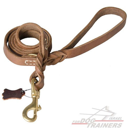 רצועת עור לכלב מקצועית, משודרגת והאולטימטיבית - FOR DOG TRAINERS- ISRAEL