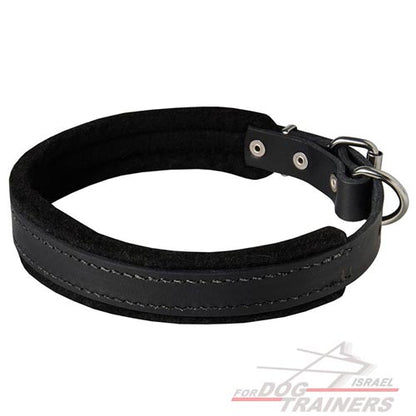 קולר לכלב מרופד מעור - ברוחב 2.5 ס"מ - FOR DOG TRAINERS- ISRAEL