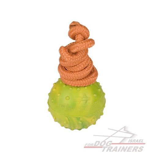 כדור אימון לכלבים על חבל עשוי גומי מוצק - גודל בינוני 6 ס"מ - FOR DOG TRAINERS- ISRAEL
