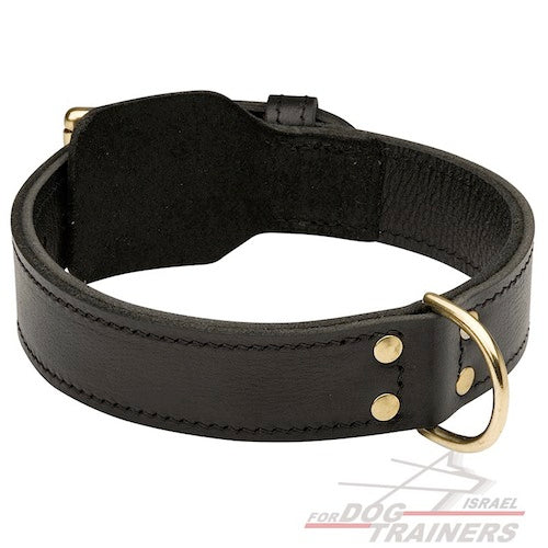 קולר לכלב מעור - דו שכבתי - לעבודות גישוש - FOR DOG TRAINERS- ISRAEL