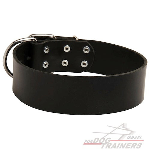 קולר עור לכלבים בינוניים וגדולים- 5 ס"מ רוחב - FOR DOG TRAINERS- ISRAEL